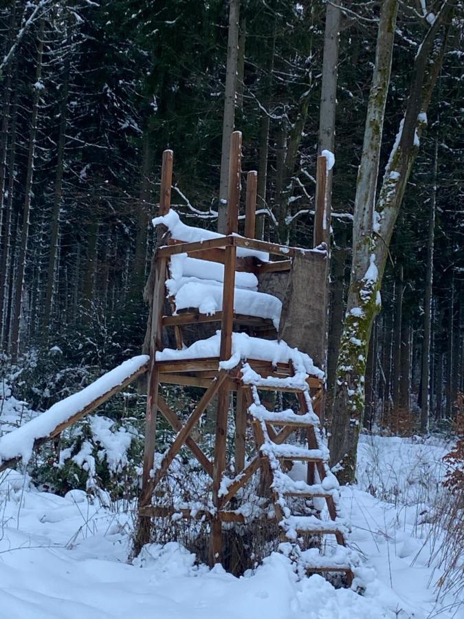 Zum Waldfrieden Neuhof (Bavaria) Exterior foto